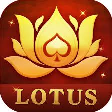 yono all games yes spin download